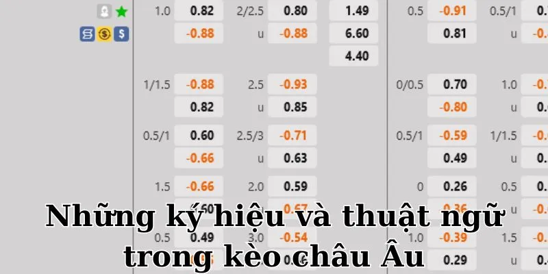 Xem ký hiệu trong kèo bóng đá châu Âu